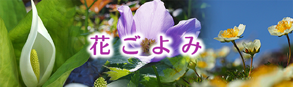 花ごよみ